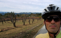 Climbing Loma Prieta Ave. past the orchards (1840ft)