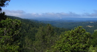 Looking down the Soquel Creek Watershed (1900ft)