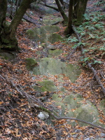 Moss-covered rocks in dry streambed (1780ft)